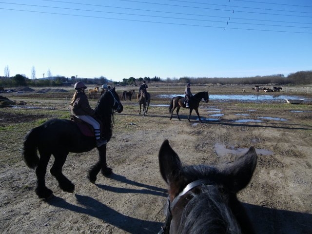  Passeios a cavalo em Bouzigues